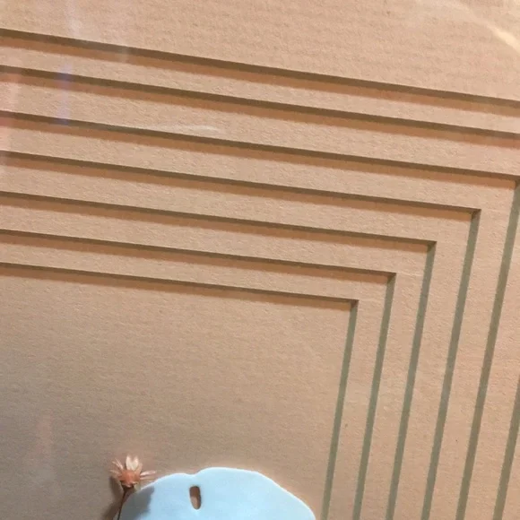 Vintage Framed Sand Dollars & Dried Flower Wall Art in a Pink Metal Frame - Picture 16 of 17